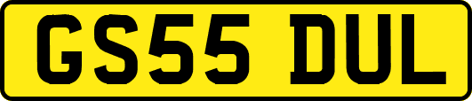 GS55DUL