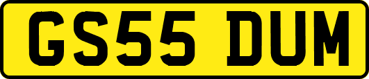 GS55DUM