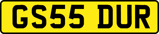 GS55DUR
