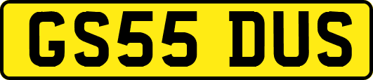 GS55DUS