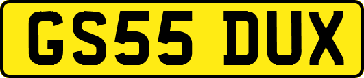 GS55DUX