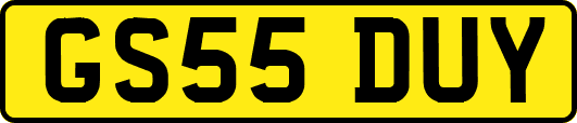 GS55DUY