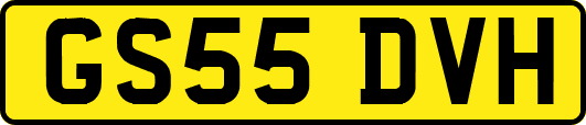 GS55DVH