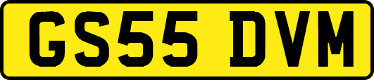 GS55DVM