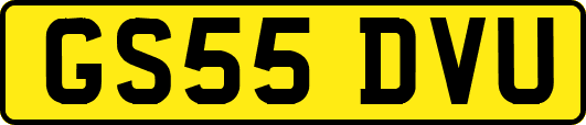 GS55DVU
