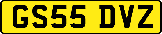 GS55DVZ