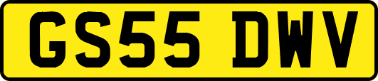 GS55DWV