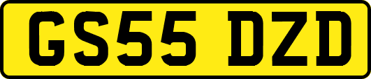 GS55DZD