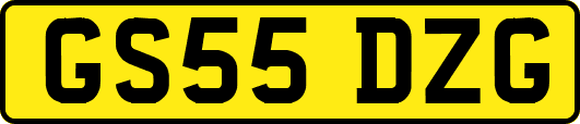 GS55DZG