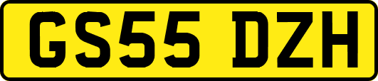GS55DZH