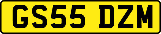 GS55DZM
