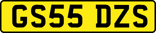 GS55DZS