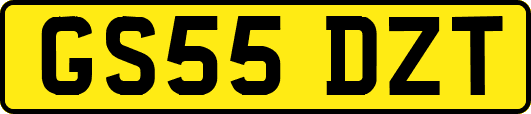 GS55DZT
