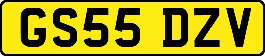 GS55DZV