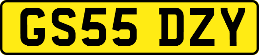 GS55DZY