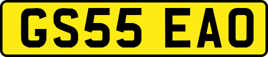 GS55EAO
