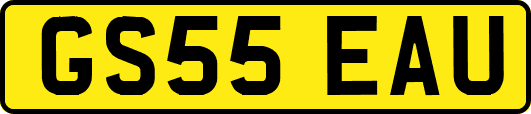 GS55EAU