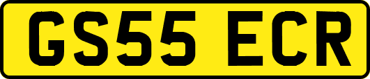 GS55ECR