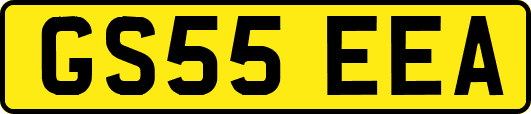 GS55EEA