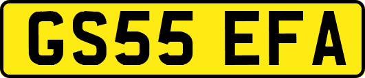 GS55EFA
