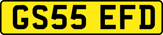 GS55EFD