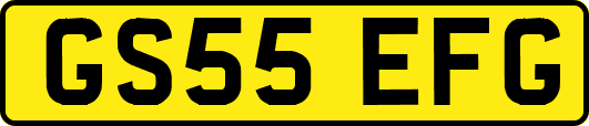 GS55EFG