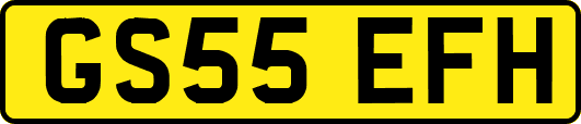 GS55EFH