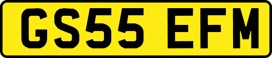 GS55EFM