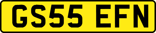 GS55EFN