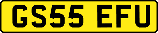 GS55EFU