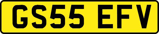 GS55EFV