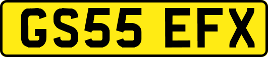GS55EFX