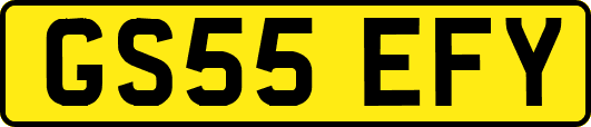 GS55EFY