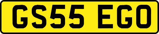 GS55EGO