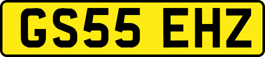 GS55EHZ