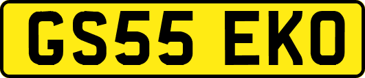 GS55EKO