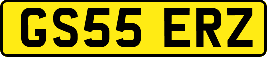GS55ERZ