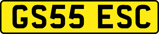 GS55ESC