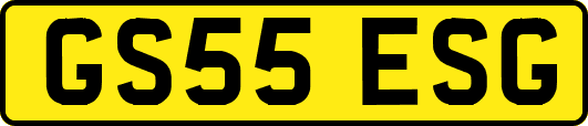 GS55ESG