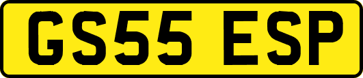 GS55ESP