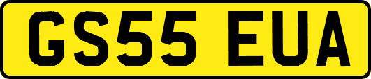 GS55EUA