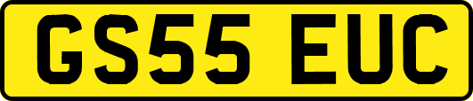 GS55EUC
