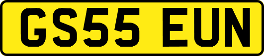 GS55EUN