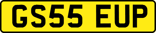 GS55EUP