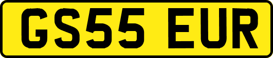 GS55EUR