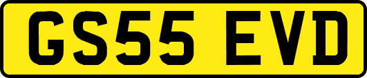 GS55EVD