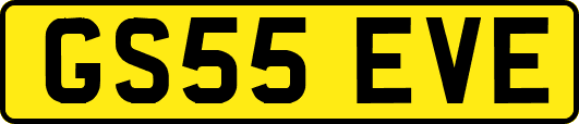 GS55EVE