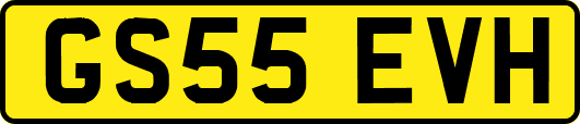 GS55EVH
