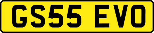 GS55EVO