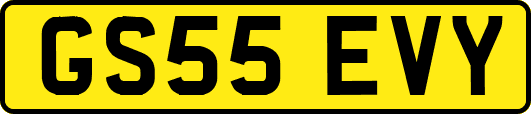 GS55EVY